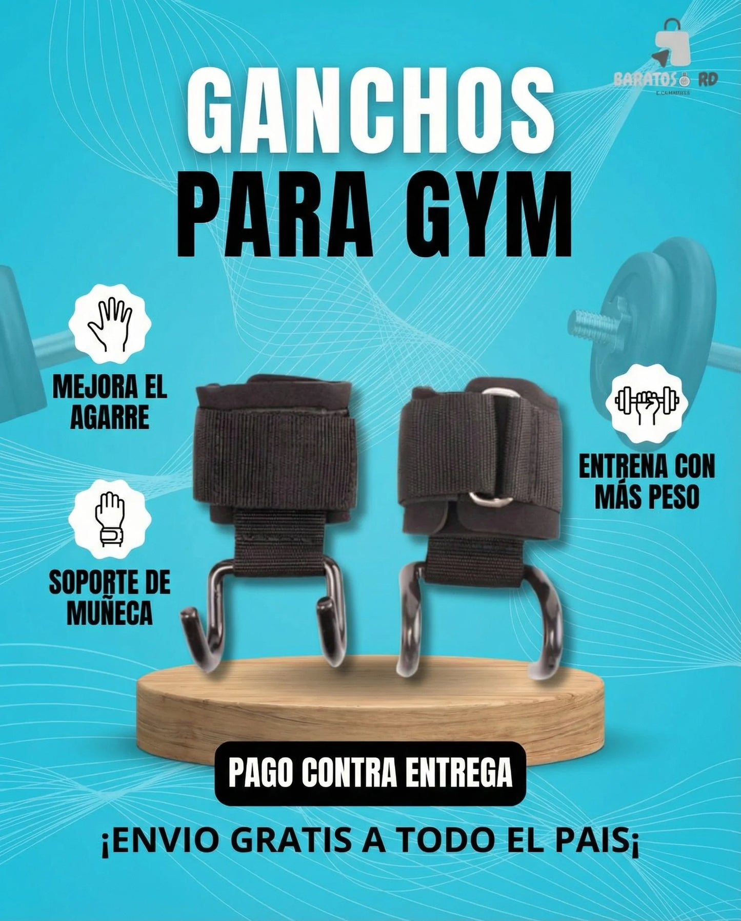 GANCHOS PARA GYM PREMIUM