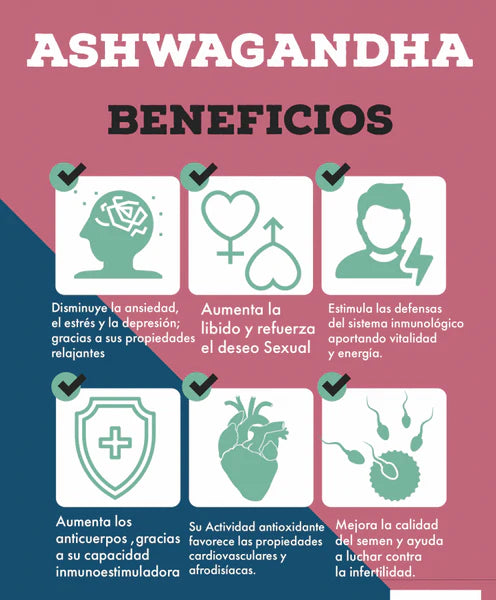 ASHAWAGANDA (GINSENG INDIO) + B12 X 90 CAPSULAS